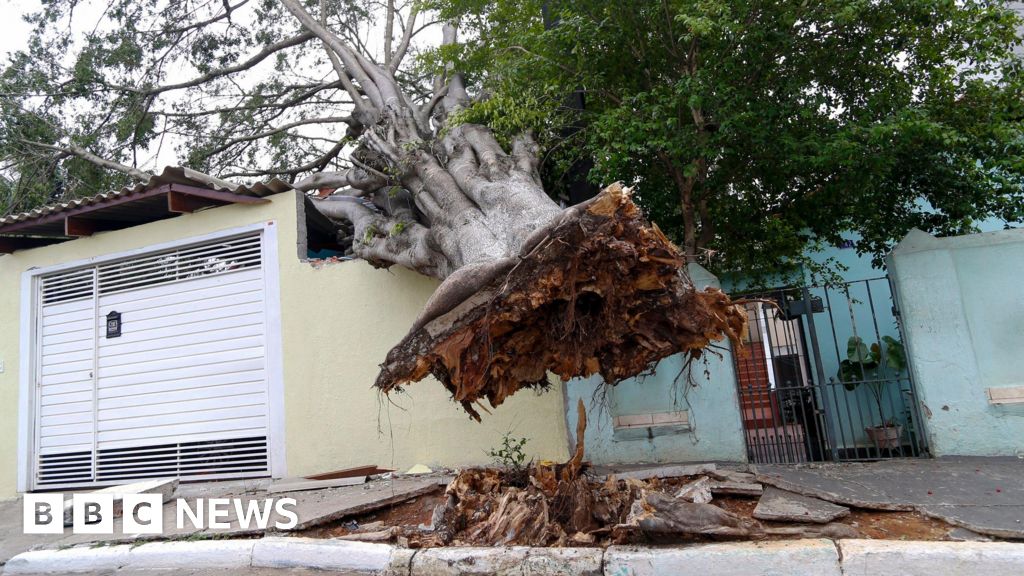 Eight dead as storms bring strong winds and downpours