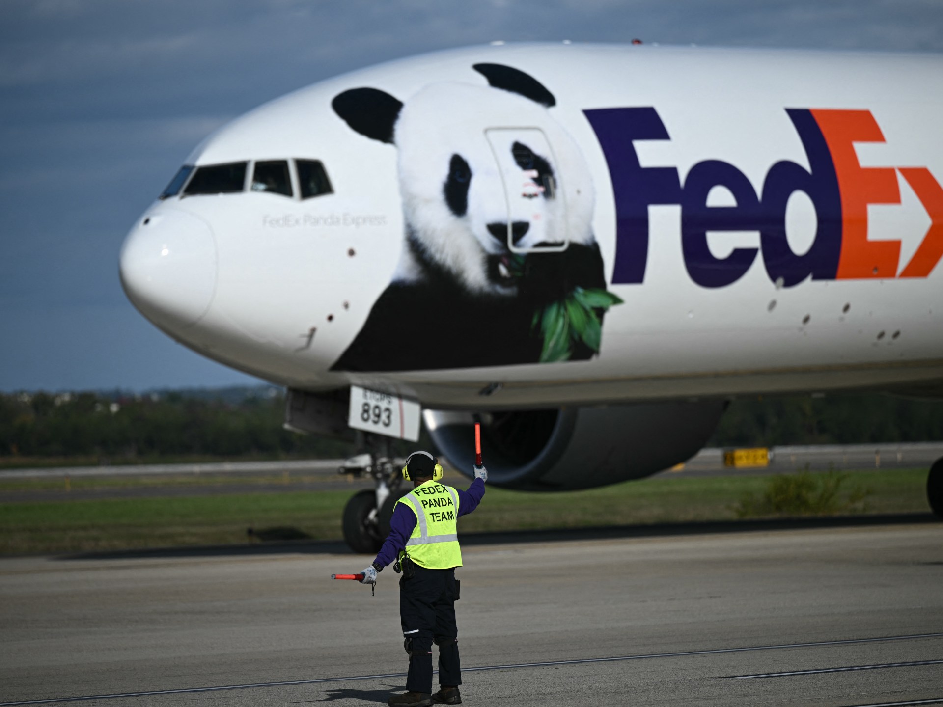 Excitement as two new pandas arrive in US from China | Wildlife News