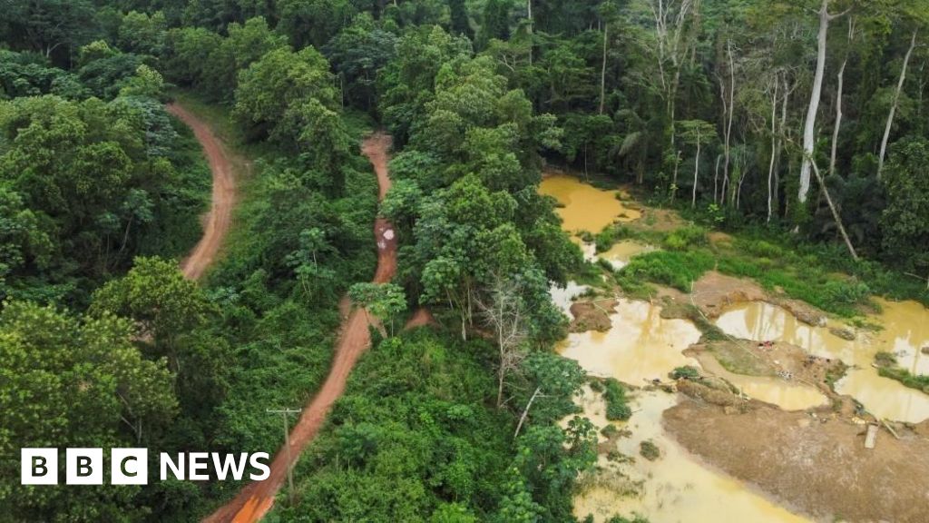 Ghana's illegal gold mining industry causes environmental destruction