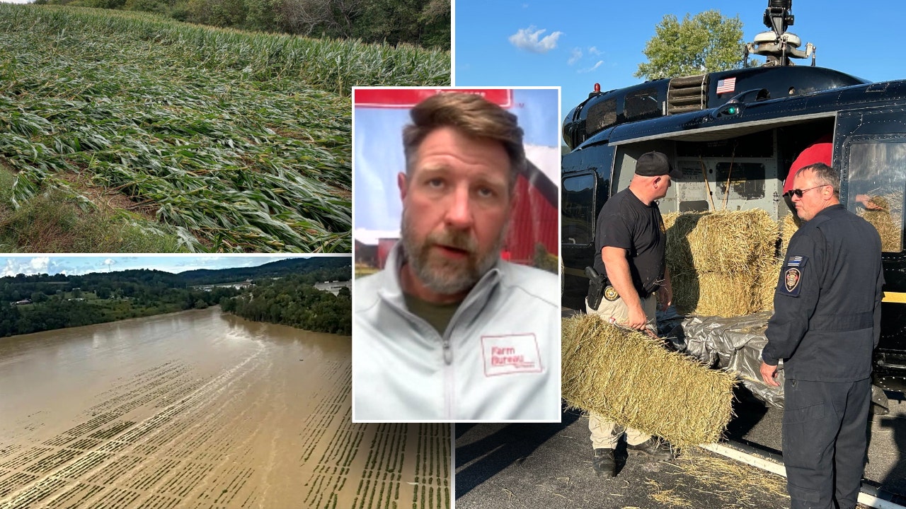 Hurricane Helene: 'Backbone of America' helping farmers across Southeast