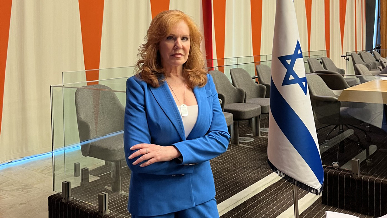 LIZ CLAMAN: 'Fury and confusion.' Antisemitism, Israel and my October UN experience