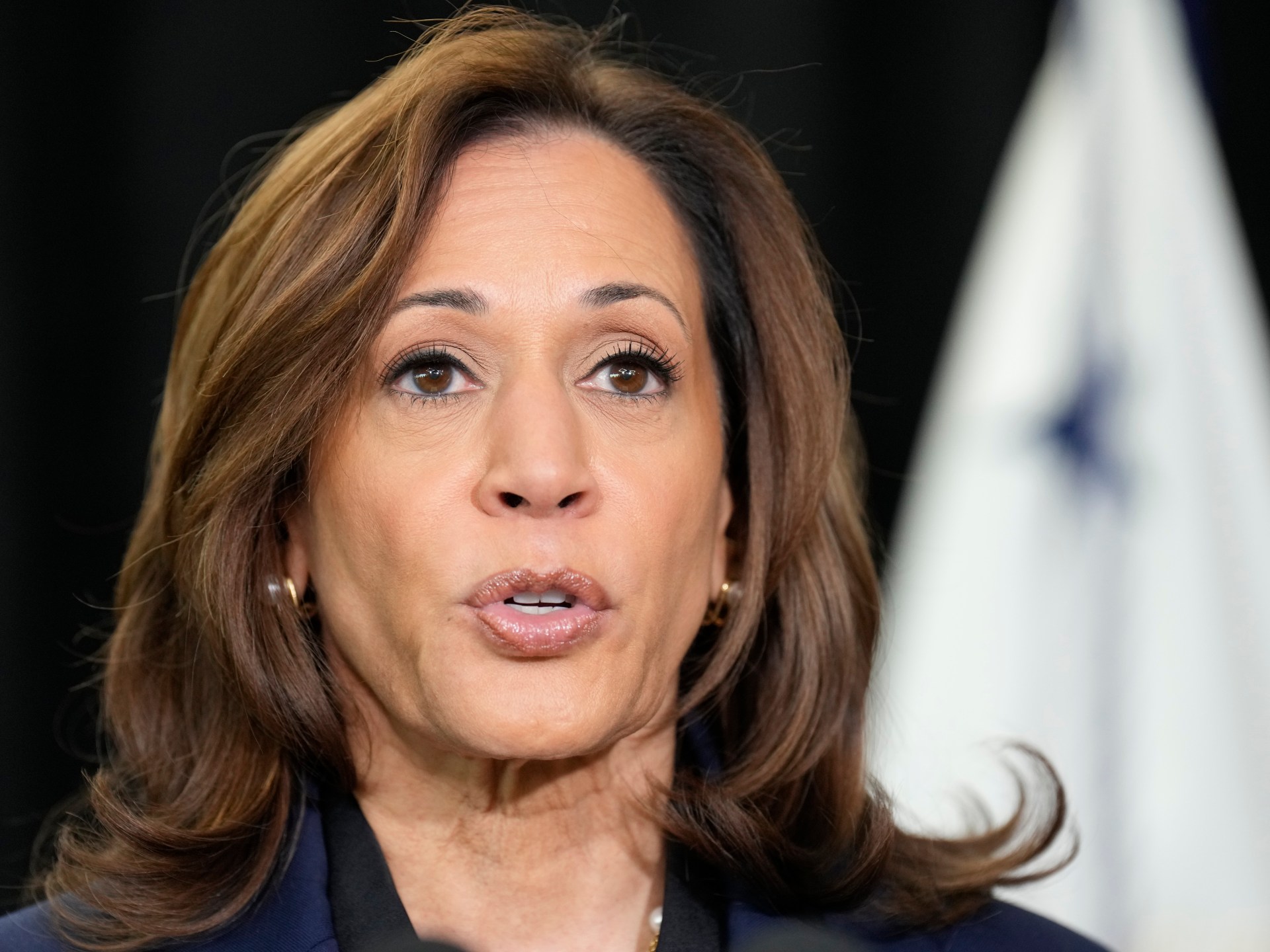 US’s Harris reacts to news of Sinwar death | Israel-Palestine conflict