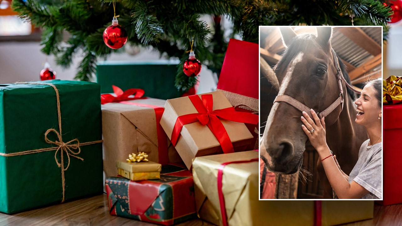 Unique gift ideas for the equestrian lover, horseback rider this holiday season