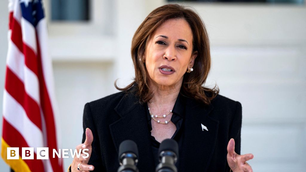 Why Harris moved from 'joy' to labelling Trump a 'fascist'