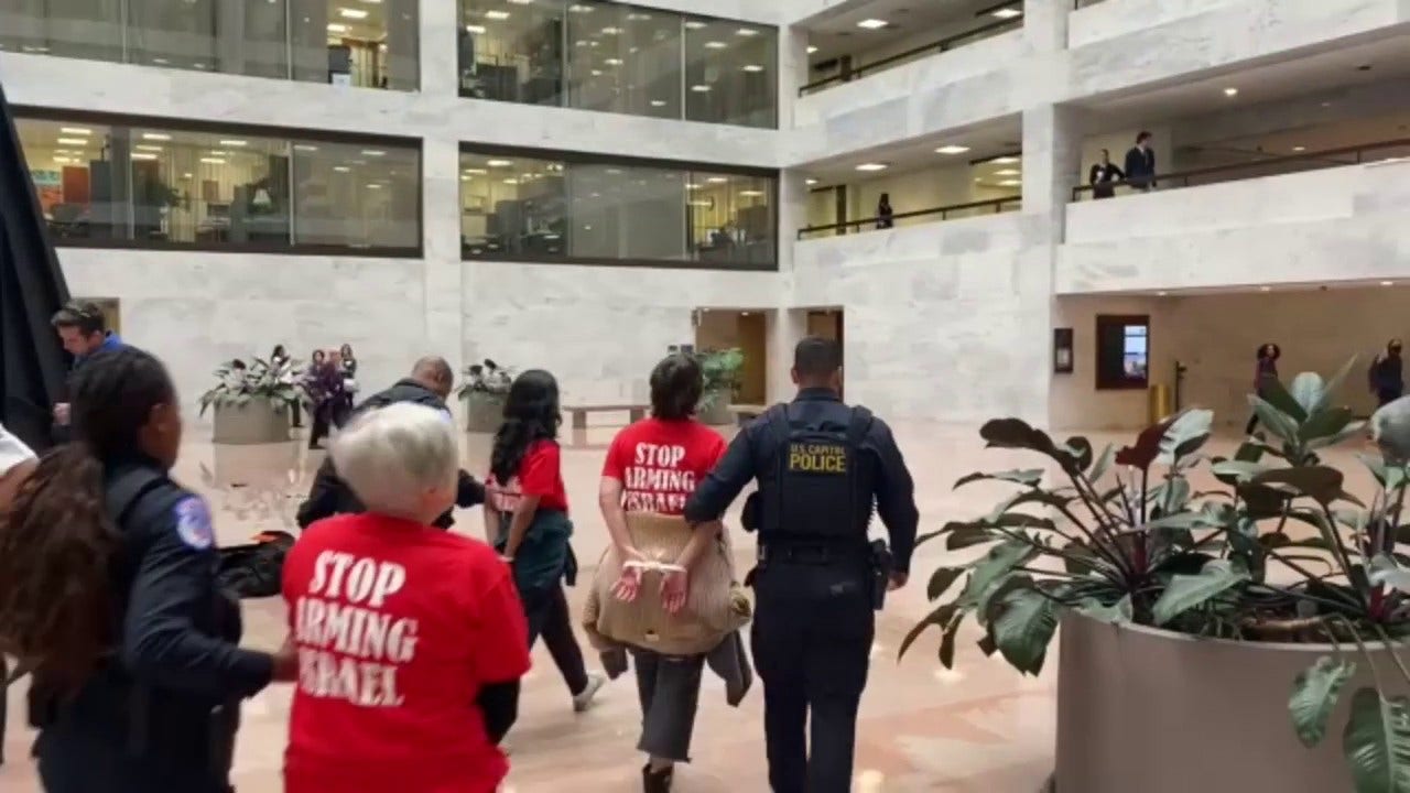 Anti-Israel protesters arrested in Senate office building chant 'Free Palestine'