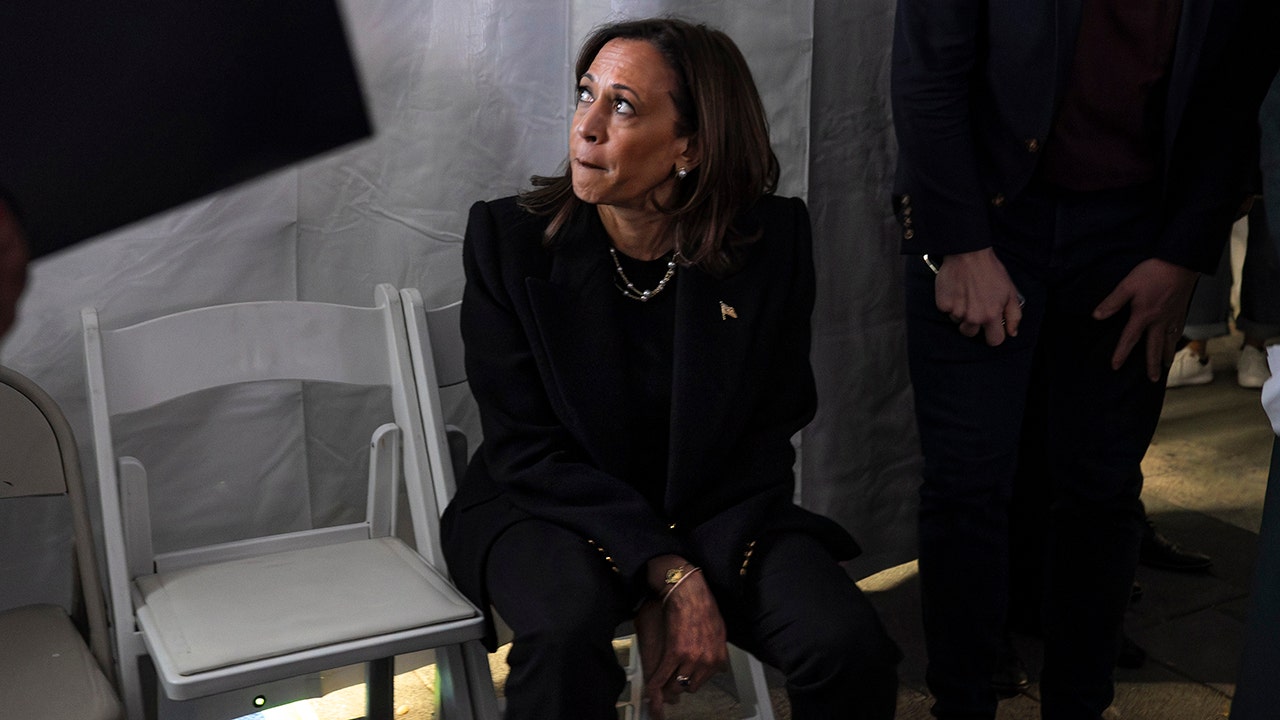 Democrats begin finger-pointing after Harris loss to Trump