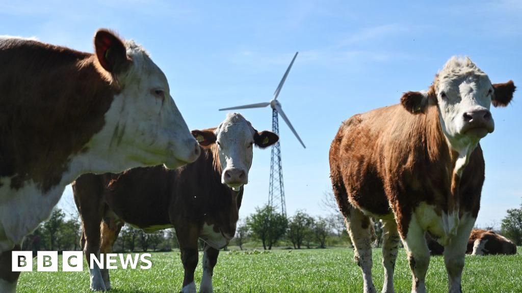 Denmark agrees deal to tax farmers for livestock emissions