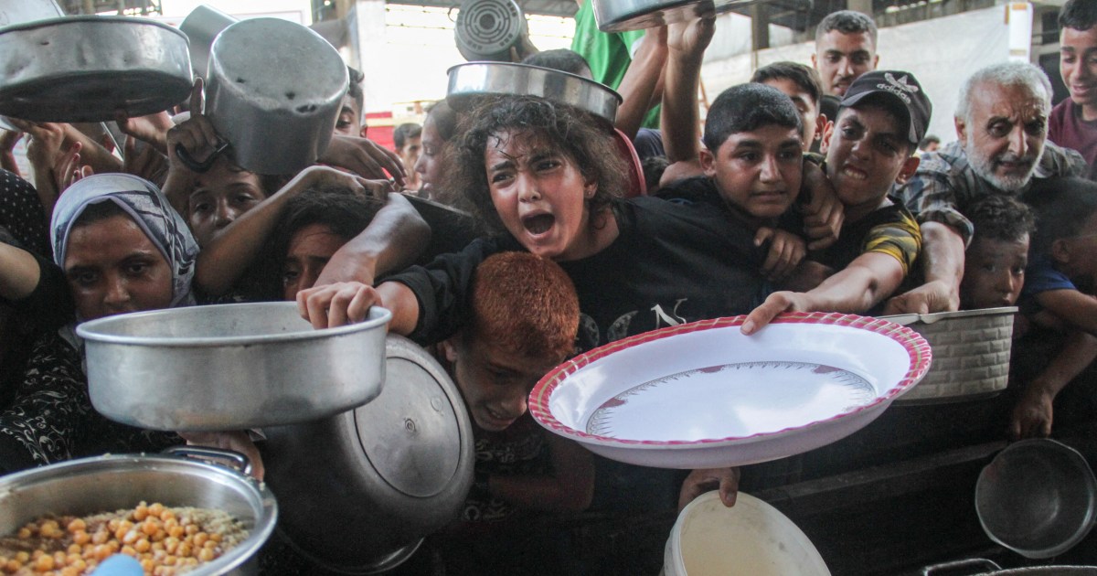 How Israel’s starvation of Gaza is affecting Palestinians elsewhere | Israel-Palestine conflict