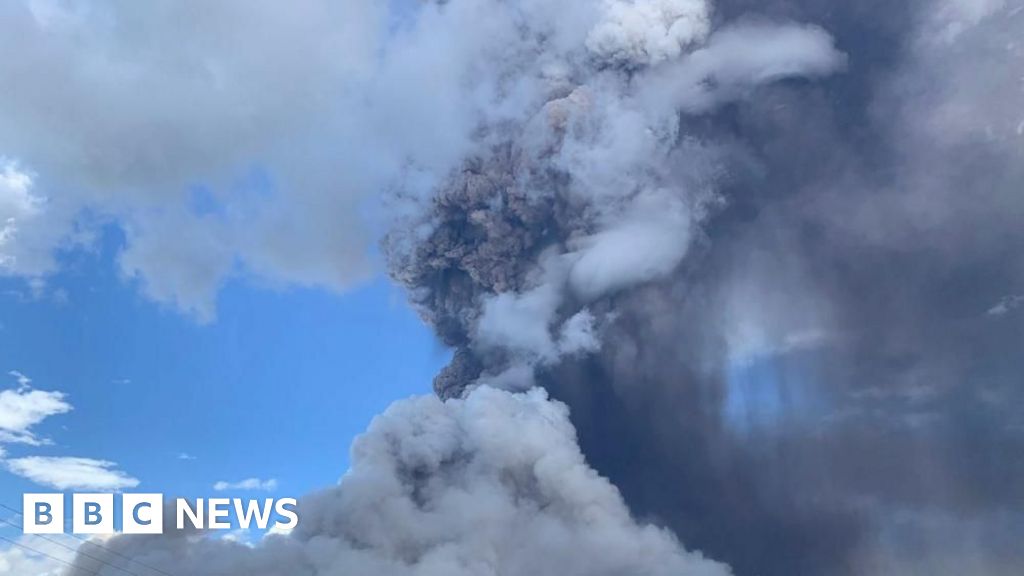 Indonesia's Mount Lewotobi Laki-laki spews giant column of ash