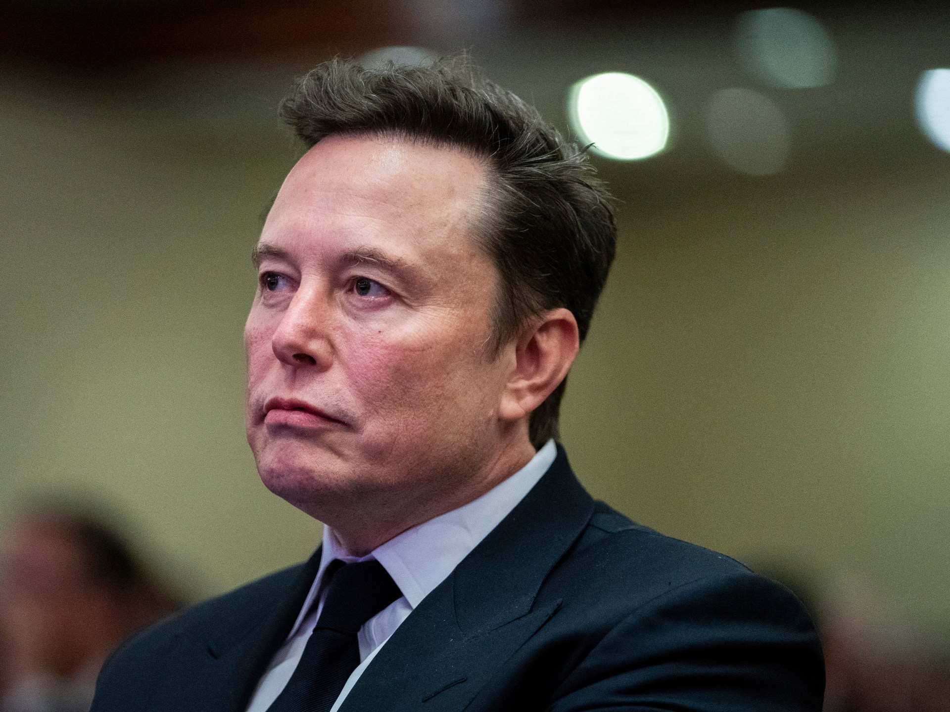 Musk, Ramaswamy outline ‘drastic’ cuts as US gov’t efficiency tsars | Economy