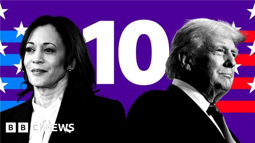 Ten reasons why either Trump or Harris might win US election