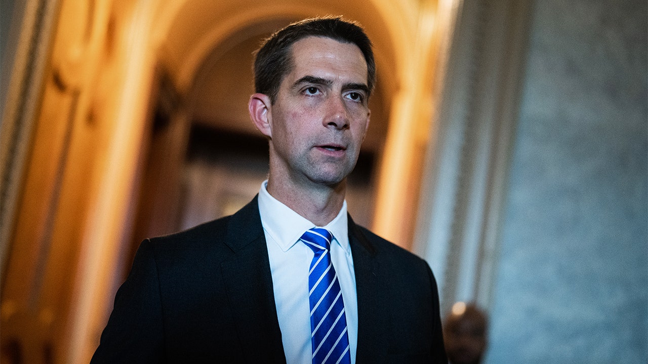 Tom Cotton likely to succeed Marco Rubio in top Intelligence Committee post