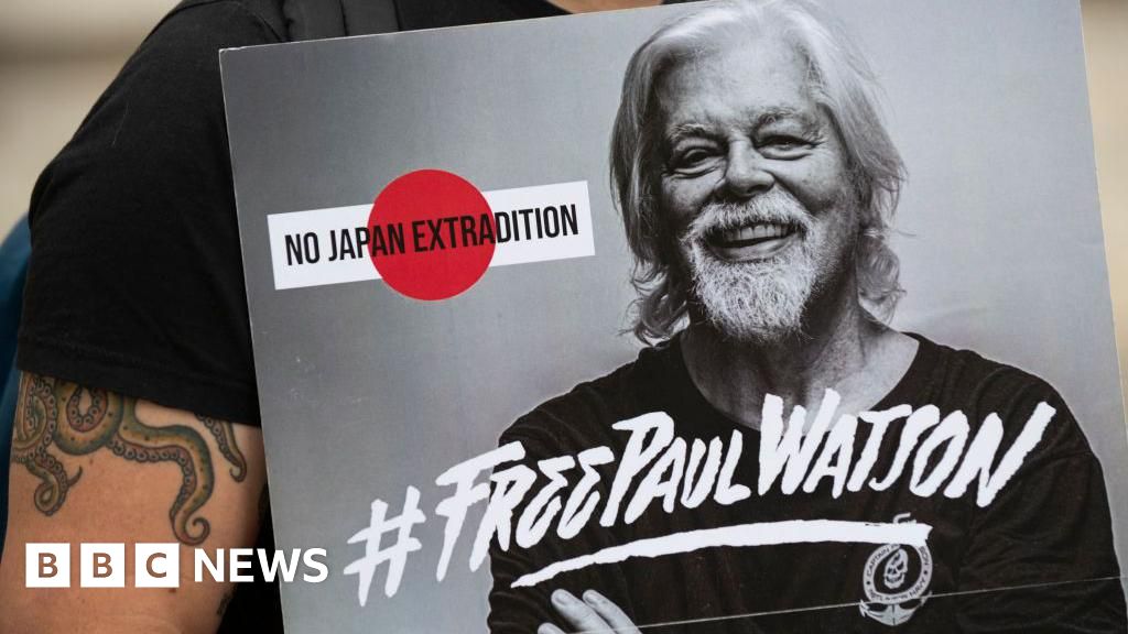 Anti-whaling activist Paul Watson freed in Greenland after five months