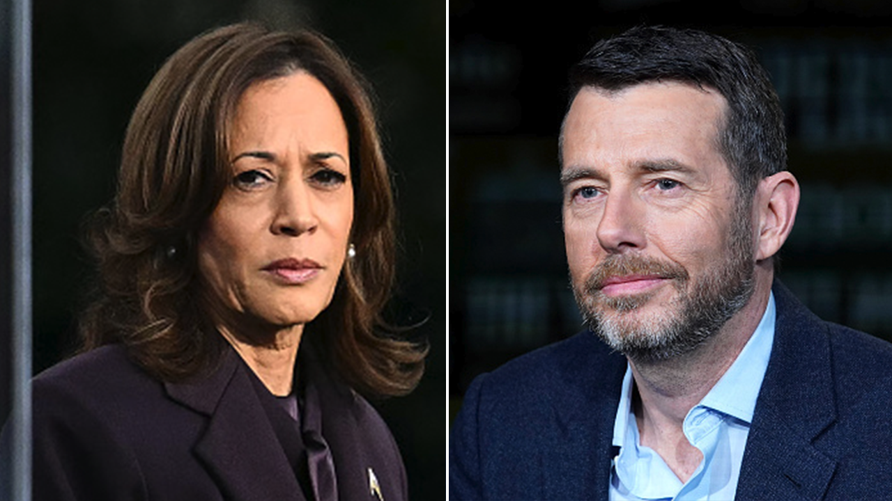 Top Harris campaign aide admits not having a Democratic primary was 'the cardinal sin'